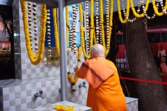 public-Celebration-2-12